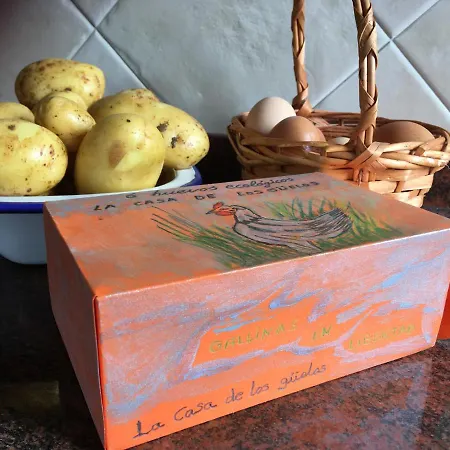 La Casa De Gueelos * Bada