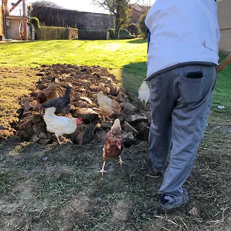 La Casa De Gueelos Bada